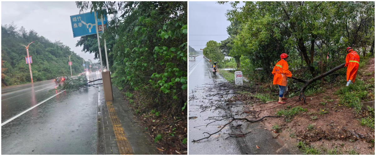 管養(yǎng)路段永安路、綿梓路.png
